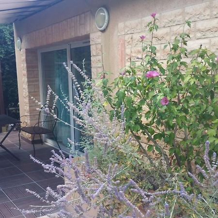La Villa Des Violettes Тулуза Екстер'єр фото