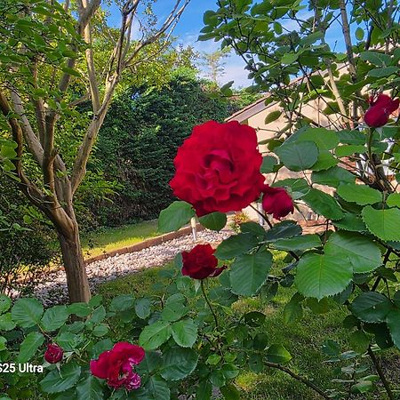 La Villa Des Violettes Тулуза Екстер'єр фото