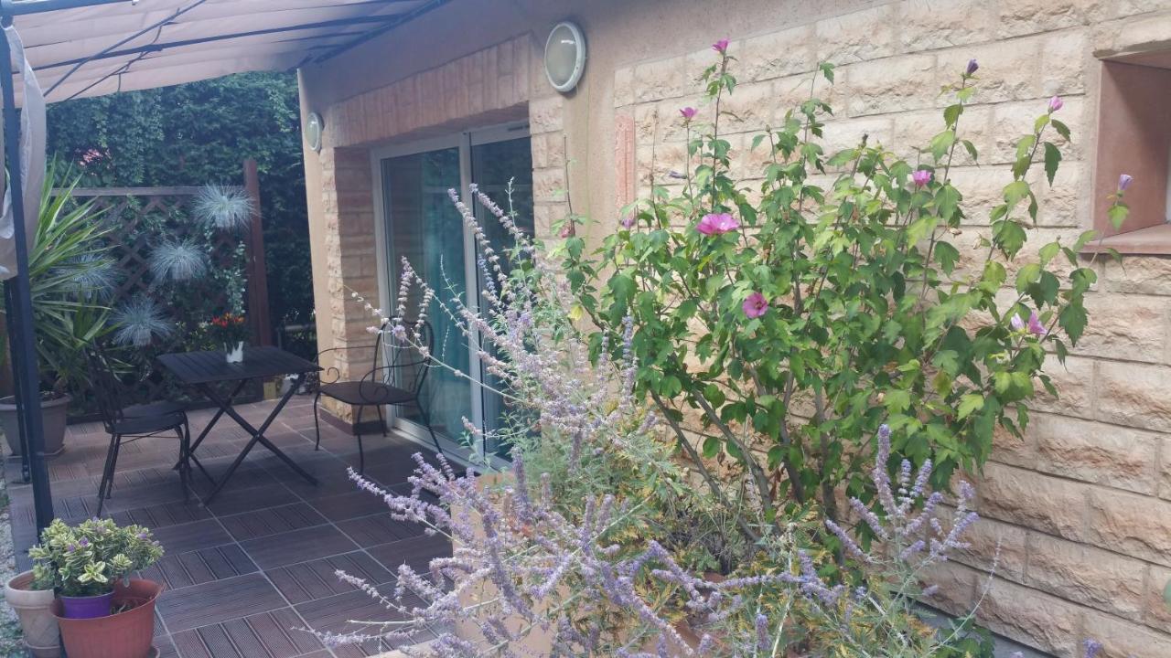 La Villa Des Violettes Тулуза Екстер'єр фото