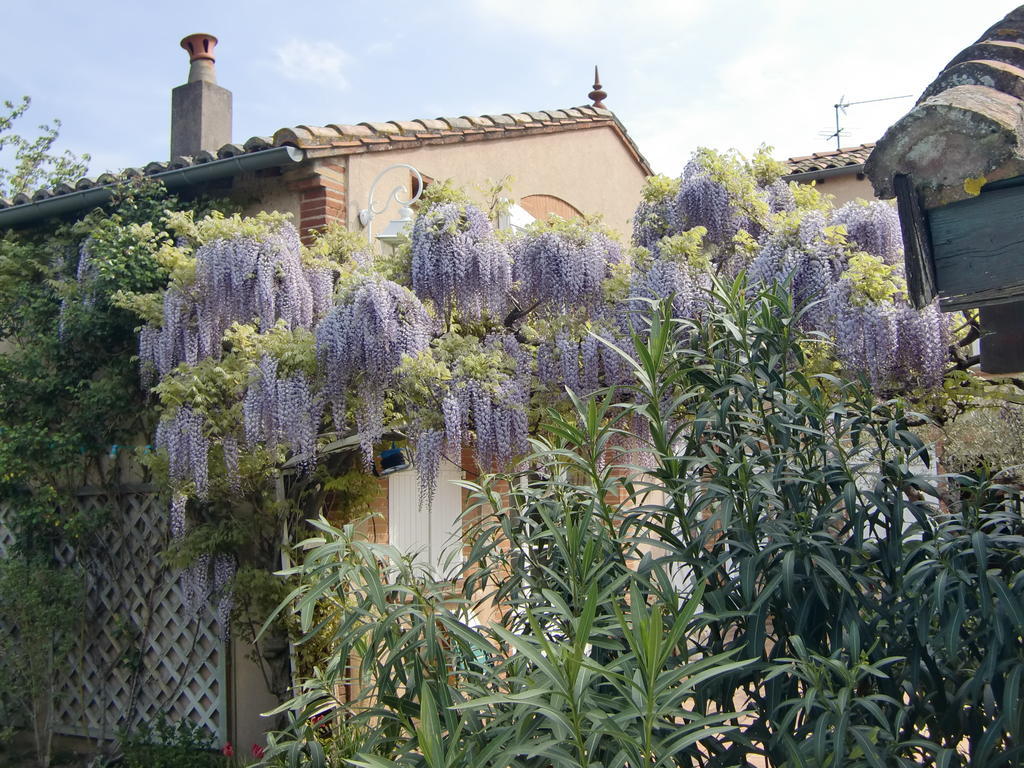 La Villa Des Violettes Тулуза Екстер'єр фото