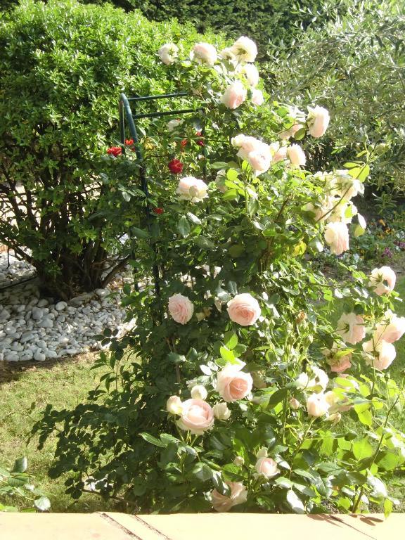 La Villa Des Violettes Тулуза Екстер'єр фото