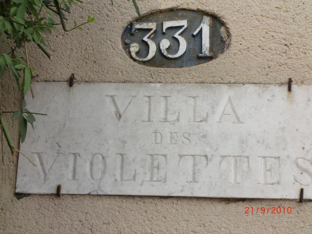 La Villa Des Violettes Тулуза Екстер'єр фото