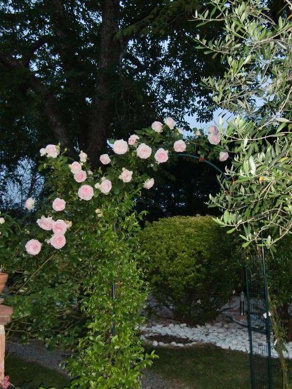 La Villa Des Violettes Тулуза Екстер'єр фото