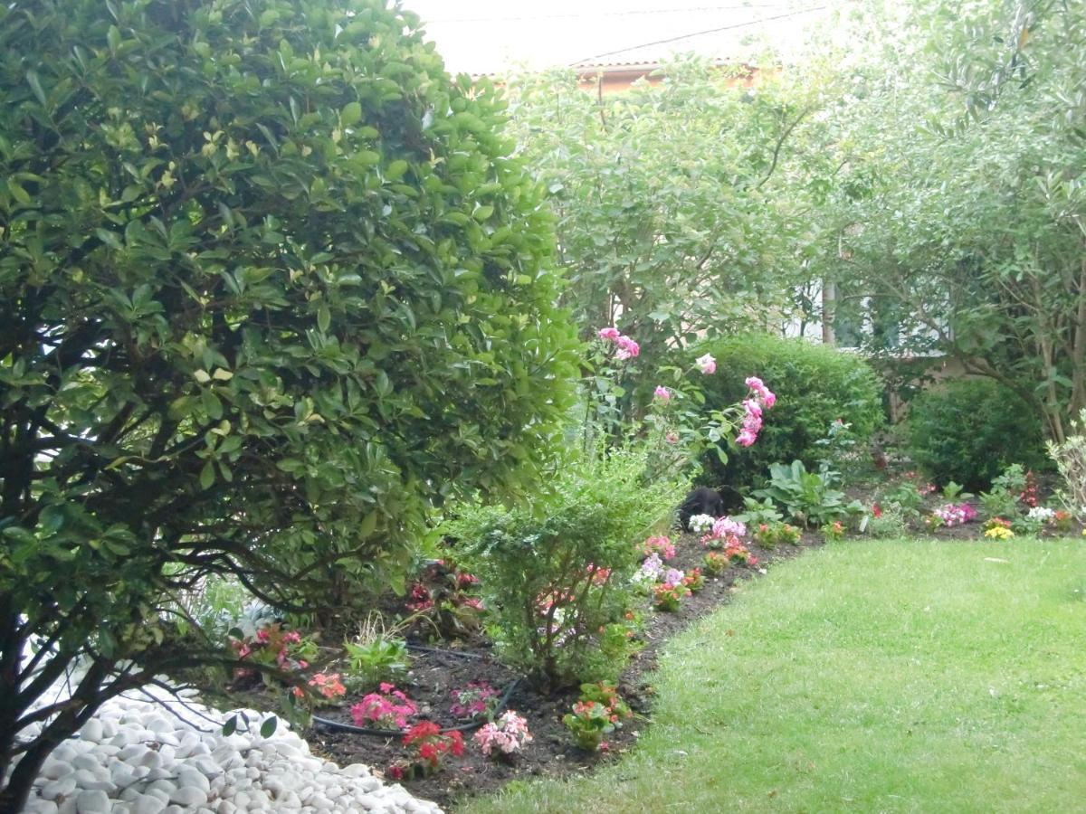 La Villa Des Violettes Тулуза Екстер'єр фото